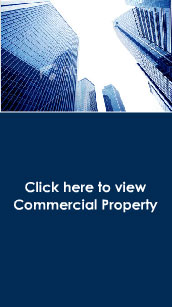 Commercial Property